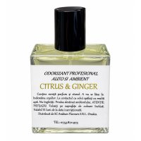 Parfum pentru masina Nomadic 50ml Citrus &amp; Ginger