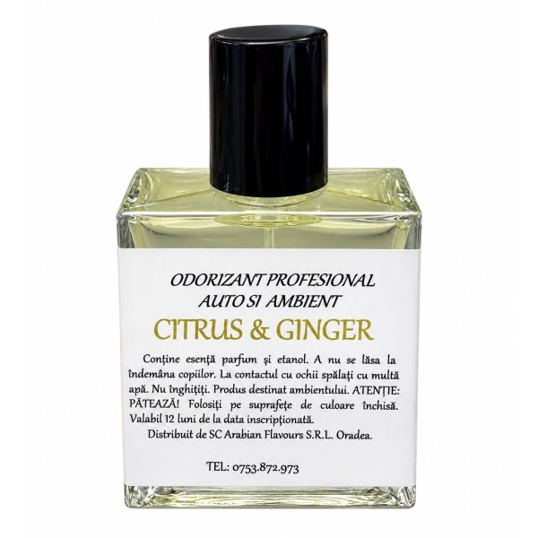 Parfum pentru masina Nomadic 50ml Citrus & Ginger